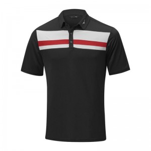 Mizuno Quick Dry Citizen Polo Zwart | WNYG1292