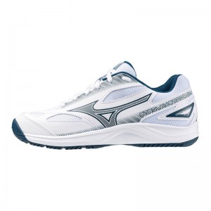 Mizuno Stealth Star 2 JR. Wit Blauw Zilver | JEDK4764