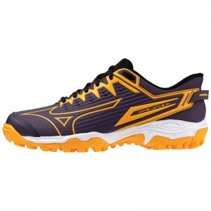 Mizuno WAVE LYNX 2 JR. Paars Oranje | BSIW3862