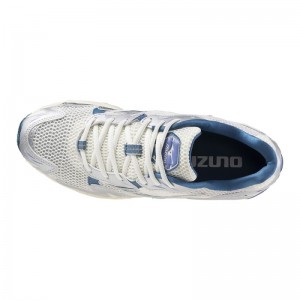 Mizuno WAVE Rider 10 Zilver Zilver Wit | DTFU8982