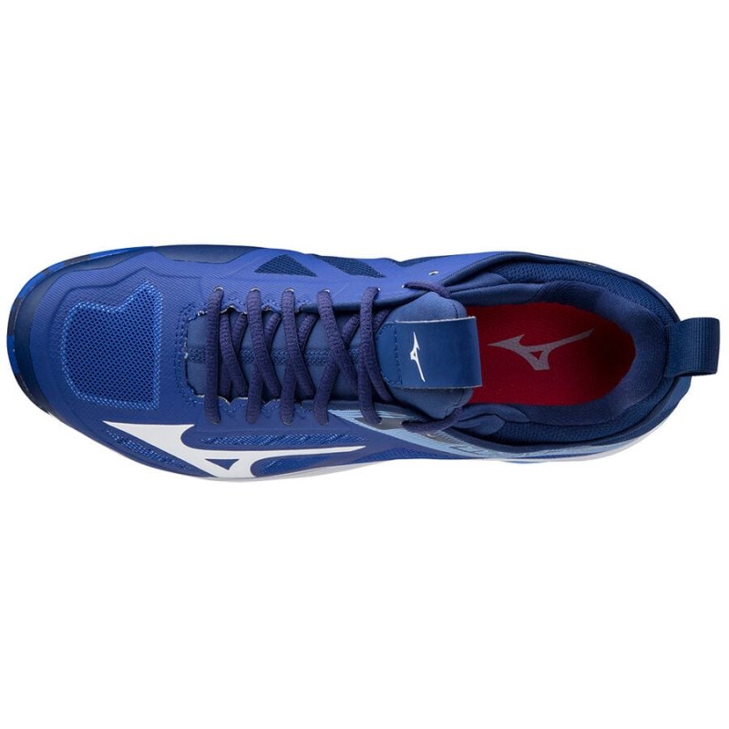 Mizuno WAVE Panthera Blauw Wit Roze | LNCI3611