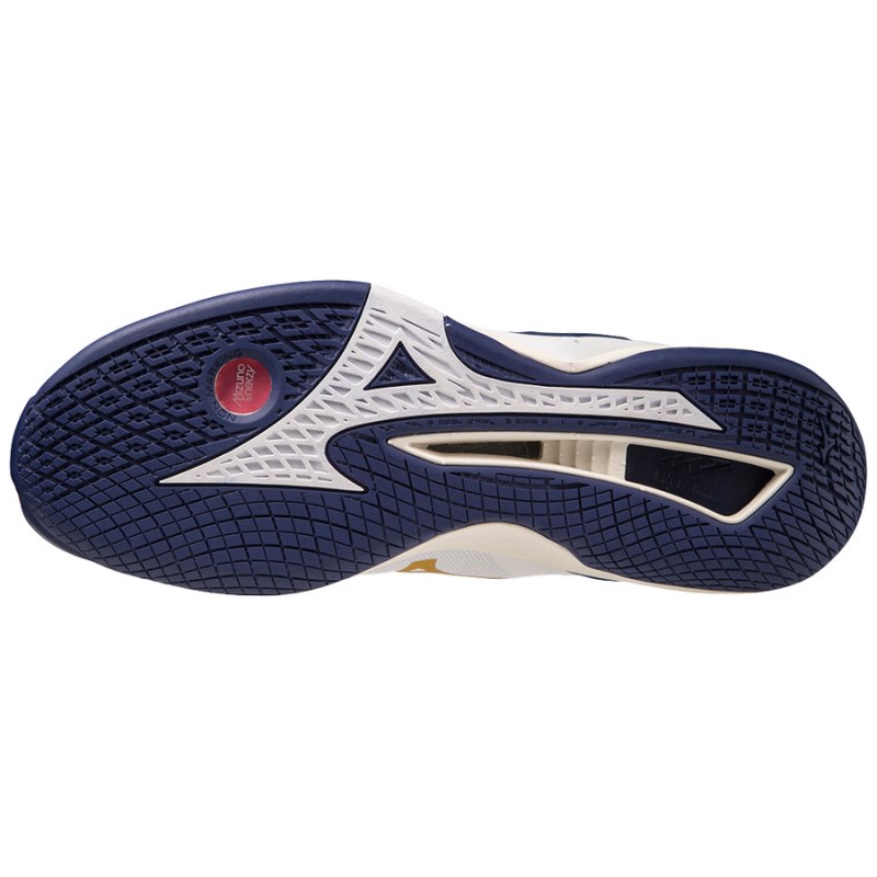 Mizuno WAVE Stealth Neo Wit Blauw Goud | PARD5606